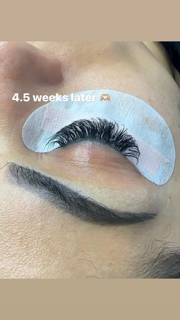 Eyelash Extension Adhesive Glue - Super Pro - Invidious Lashes