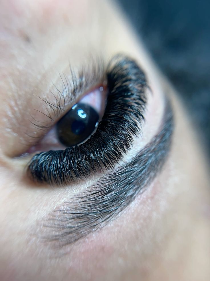 Tray of Russian Volume Eyelash Extensions in Mixed Lengths from 8-15mm, D Curl, 0.05mm thickness, offering a range of ultra-fine lashes for achieving full, dramatic volume with a strong curl.